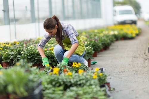 Landscapers Northolt team sorting green waste for eco-friendly disposal