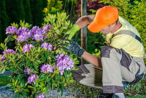Reusable garden materials prepared for charity partnership donation