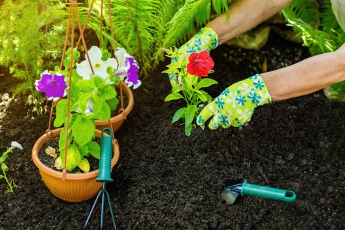 Essential cookies information for Landscapers Northolt website