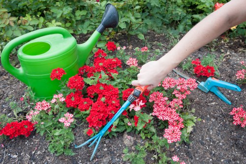 Professional lawn and hedge care for a Northolt garden