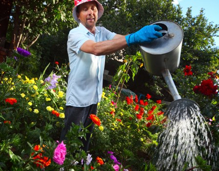 Landscaping work in a Northolt garden with plants and patio design
