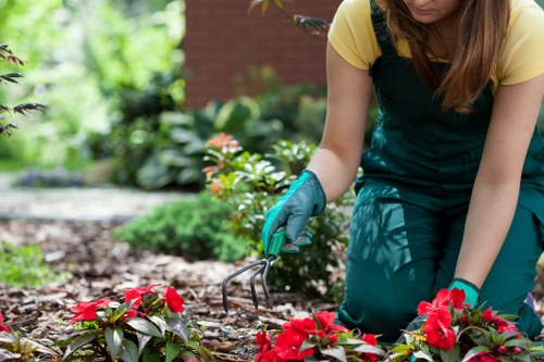 Pruning shrubs and trimming hedges during garden maintenance in Northolt