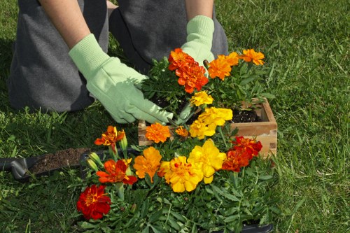 Professional garden waste removal and tidying in Northolt