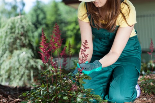 Garden design and patio installation by Northolt landscapers