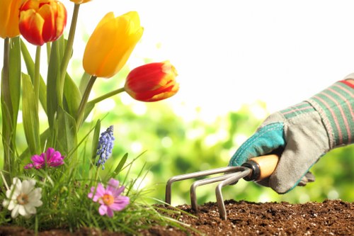 Colorful seasonal plants used in flower bed creation in Northolt