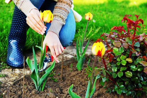 Seasonal lawn care and mowing in Northolt