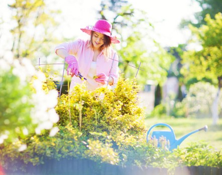 Residential garden planting services in Northolt with colorful plants