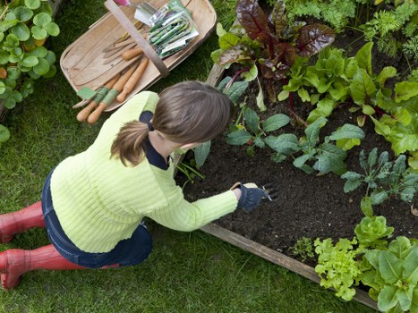 Professional landscape gardeners transforming a back garden in Northolt