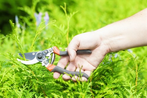 Complaints review process for outdoor maintenance work